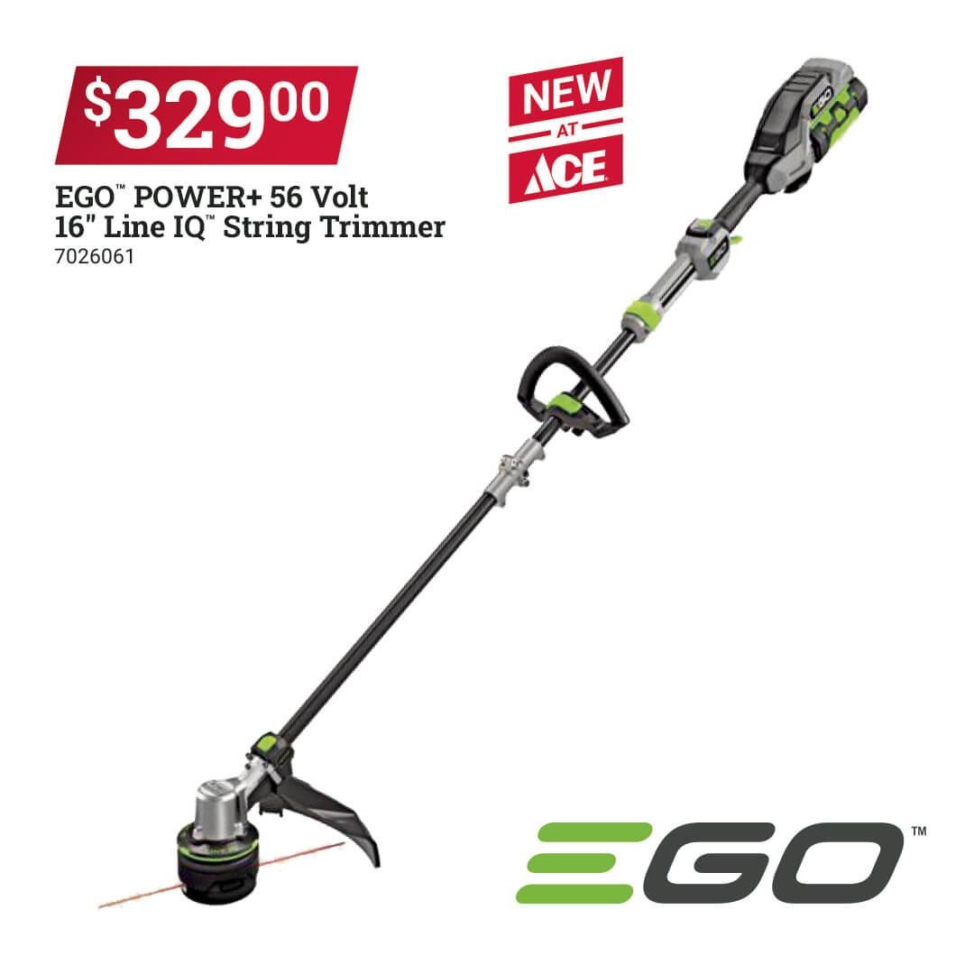 Ace Hardware & Rental of Williamston Hardware Store in Williamston, SC